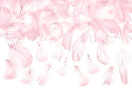 Partydeco - Decoratieve veren roze