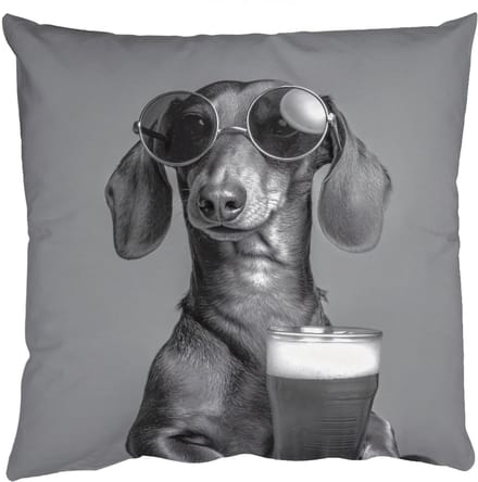 Sierkussens - Kussentjes Woonkamer - 60x60 cm - Teckel - Bier - Glas - Bril