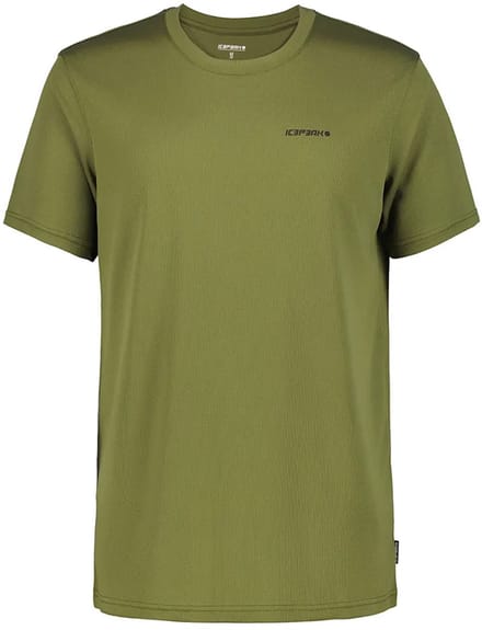 Icepeak Berne T-shirt Met Korte Mouwen Groen M Man