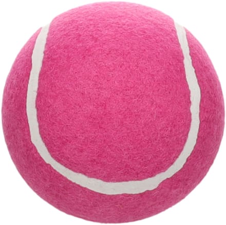 Flamingo - Hondenspeelgoed - Speelgoed Smash Tennisbal Roze - 1st