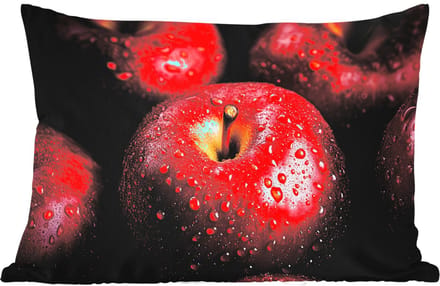 Buitenkussens - Tuin - Rood - Appels - Fruit - 50x30 cm