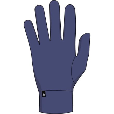 Odlo Active Warm Eco Handschoenen Blauw,Paars XL