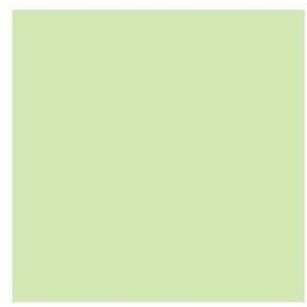 Derwent Pastel Potlood - Pale Olive P490