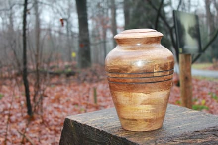 Mangohouten urn de Peel-4