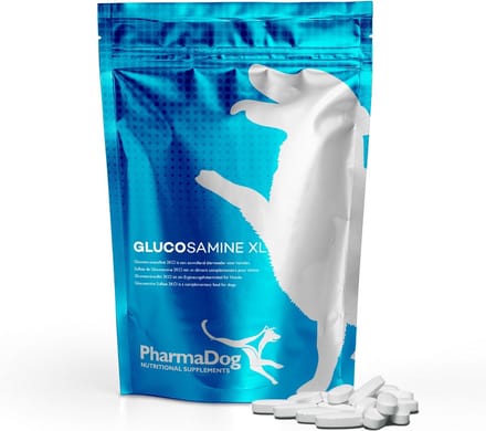 Glucosamine XL hond 240 stuks