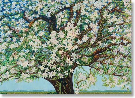Poster, 50 x 70, Beemster, bloeiende boom, Toorop