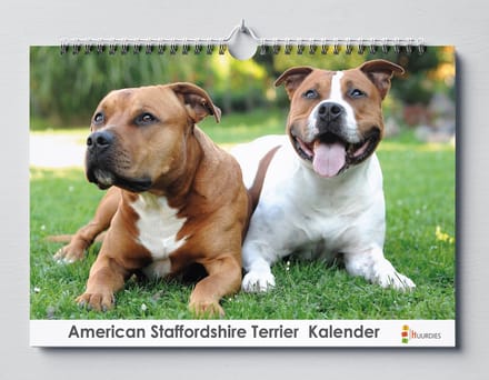 Huurdies - Verjaardagskalender - American Staffordshireterriër - A3