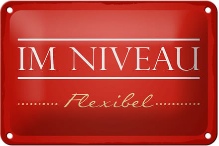 Blechschild Spruch 12x18 cm Im Niveau flexibel rotes Deko Schild