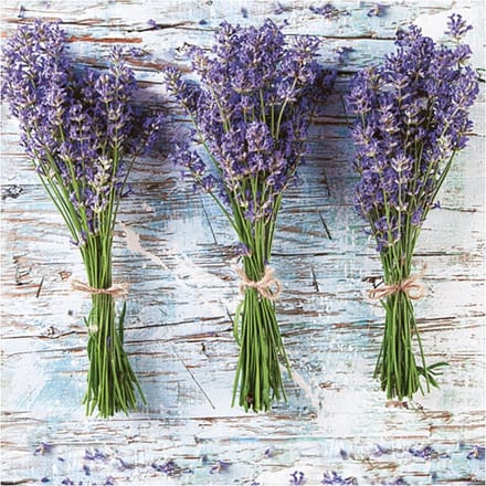 Daisy lunch/diner servetten - 40x st - 33 x 33 cm - lavendel - feestservetten