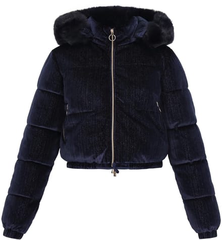 taddy jacket