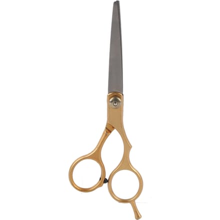 Professionele kappersschaar, kappersschaar, familiesalon, platte tanden, kappersgereedschap, goudkleurig gray