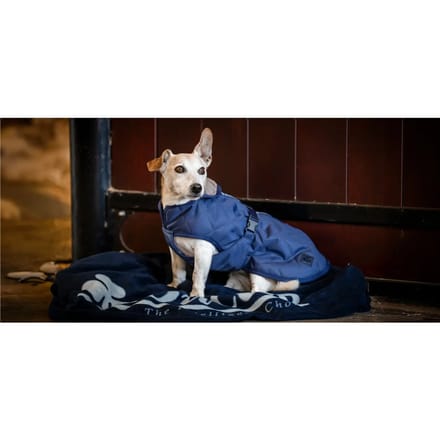 Huisdierdeken voor hond Bucas