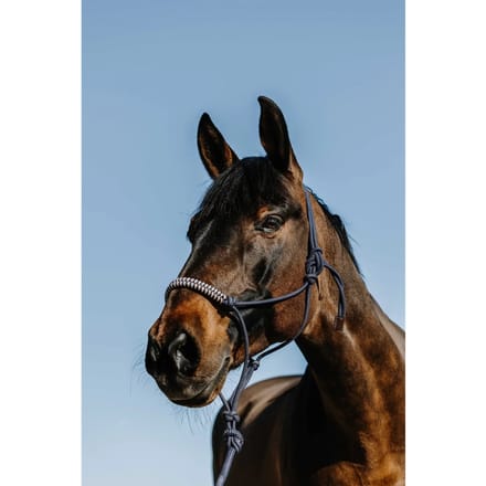 Norton Equestrian Deco Ethological Halster En Halstertouw Blauw Full