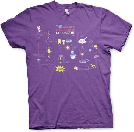 The Big Bang Theory Heren Tshirt -2XL- The Friendship Minions Algorithm Paars