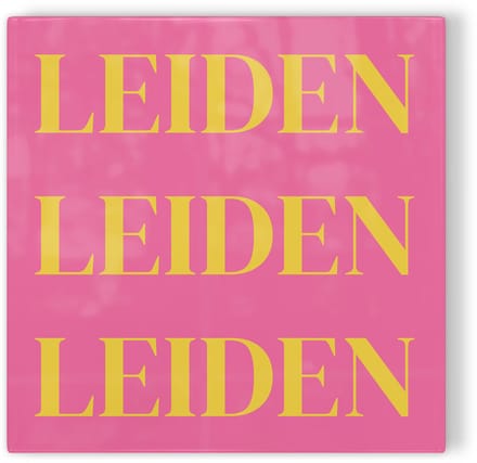Tegeltje Leiden - roze geel - tegeltje stad - tegeltje met tekst