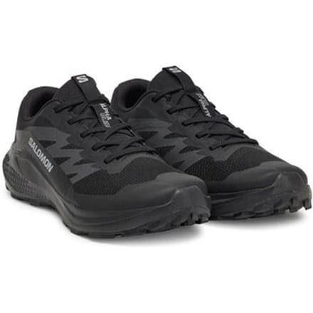 Nette Schoenen Salomon Alphaglide