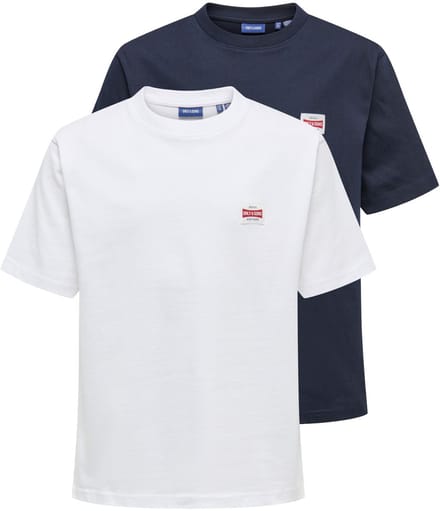 ONLY & SONS JUNIOR T-shirts OSJFRED 2-pack T-shirts