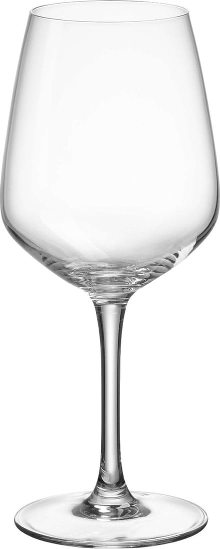 Witte wijnglazen-Ritzenhoff & Breker- 300 ml - 4 stuks