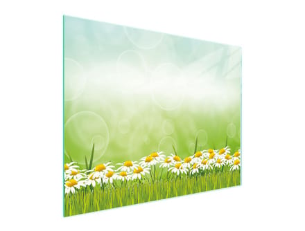 TMK ArtDeko - Snijplank - Glas - 52x40 cm - Stokroosmotief