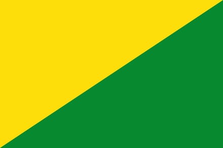 Vlag La Bruyère 150x225cm