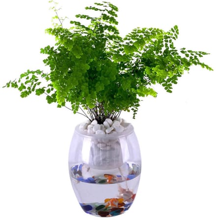 Plant bewateringskoord - Zelfwaterend lont - Planten verzorgen - Efficiënte wateropname - 20 meter - Wit