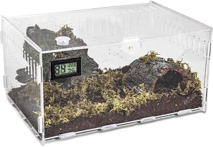 Terrarium - Ecosysteem - Reptielenverblijf - Transparant