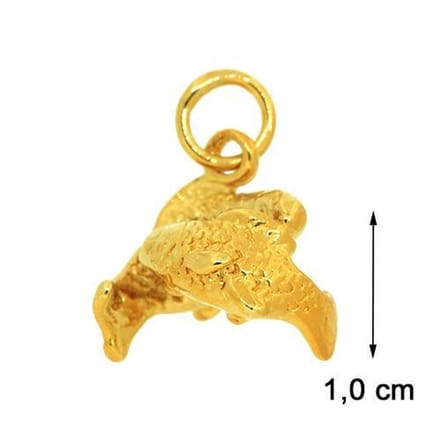 Blinx Jewels Vergulden Hanger Vissen