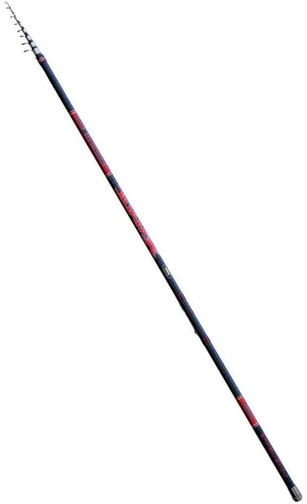 Lineaeffe X-magic Tele Bolognese Hengel Beige,Zwart 4.20 m / 20-80 g