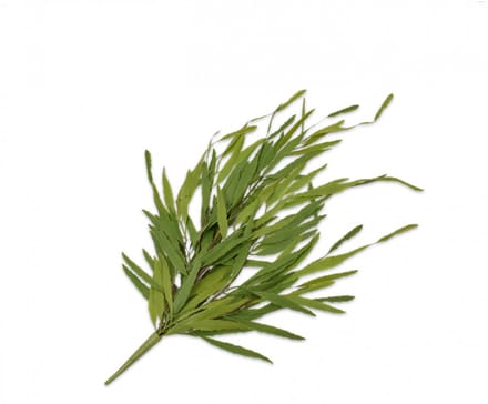 Silk-ka-vetplant-kunst-hangplant-groen