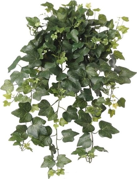 Hedera Helix Kunstplant - 65 cm - klimop - groen - UV en weerbestendig
