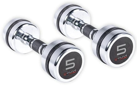 Olive Verchroomde Dumbbell 5kg 2 Eenheden Zilver