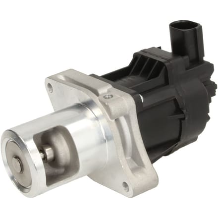 EGR-klep DELPHI EG10479-12B1