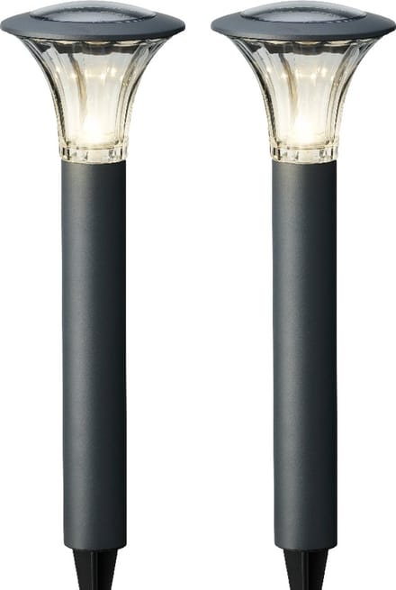 Lumineo LED solar set of 2 garden stake