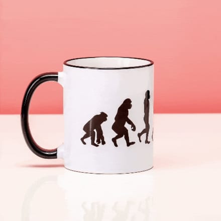 Ditverzinjeniet.nl Mok Bike Evolution