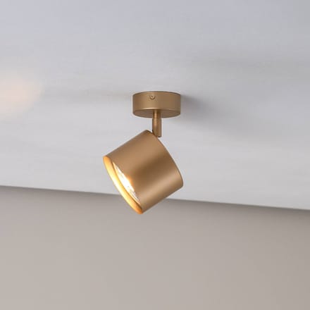 Argon Plafondspot Chloe verstelbaar 1-lamp, goud