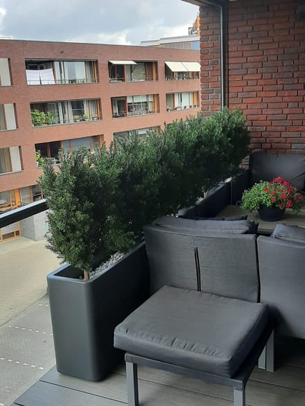 Kunststruik Taxus 90 cm UV