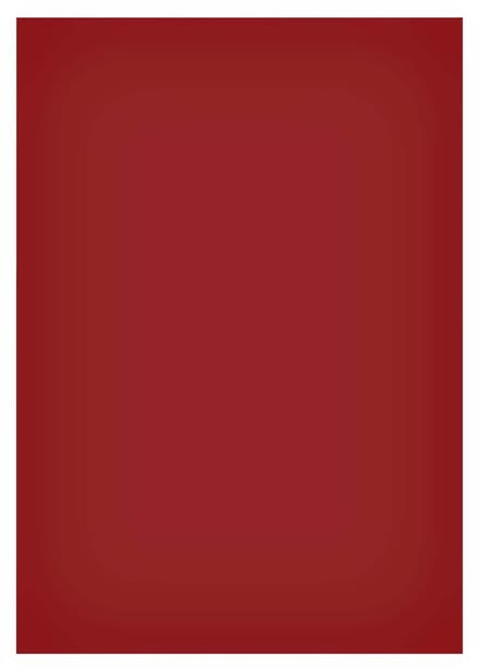 Magneetvel maul 200x300mm rood | 50 stuks