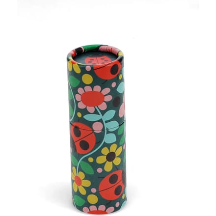 Kleurpotloodtubus Rex London Ladybird