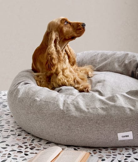 Comfortabel donutvormig hondenbed van chenille – Beige – Zacht, wasbaar & antislip – Nuba