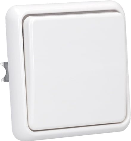 Wissel-wipschakelaar en Frame in Alpinewit - Perfecte Oplossing voor Jouw Verlichting