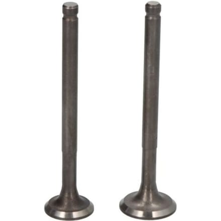 Ventiel en ventielplaat INPARTS IP000410