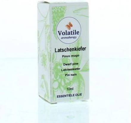 Volatile Latchenkiefer - 10 ml