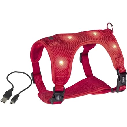 Hondentuig Nobby Pet Flash Mesh