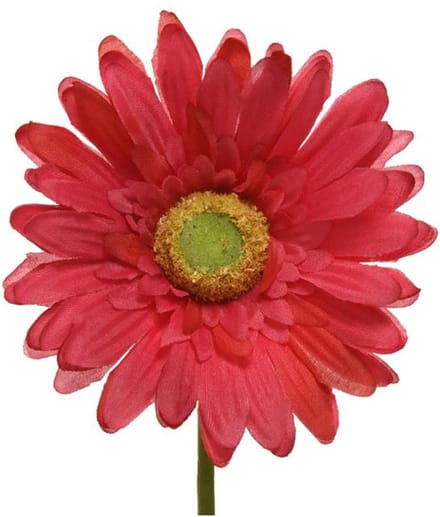 zijden gerbera op steel Fuchsia 50cm