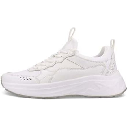 Lage Sneakers Salamander -