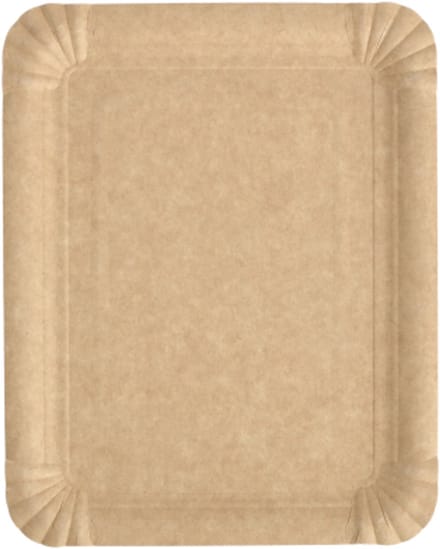 250 Borden, karton pure hoekig 16,5 cm x 20 cm bruin