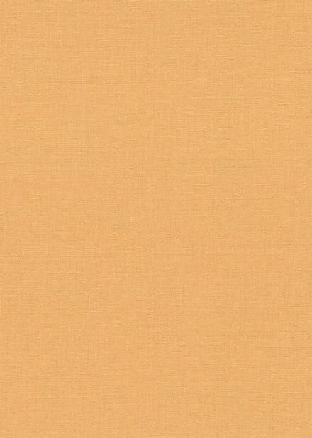 Erismann Vinylbehang 10450-04 - Coulours & Textures - Oranje - 53cm x 10.05m