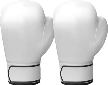 Bokshandschoenen - Kickboks handschoenen - Effectief Trainen - Versterkte naden - 10 OZ - Wit