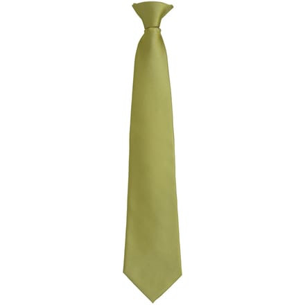 Premier Unisex volwassen kleuren modieuze effen Clip-On stropdas (Grasgroen)