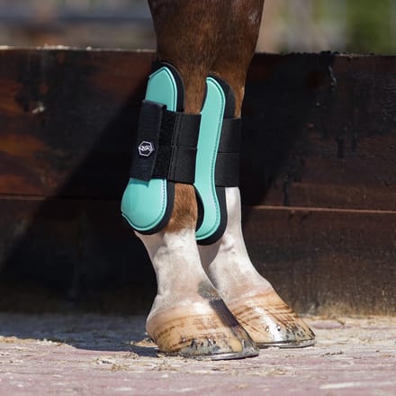 Qhp Peesbeschermers Qhp Groen